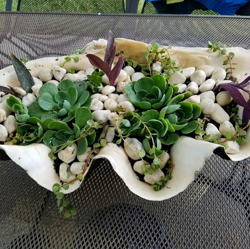 Meet your Posher, Fay